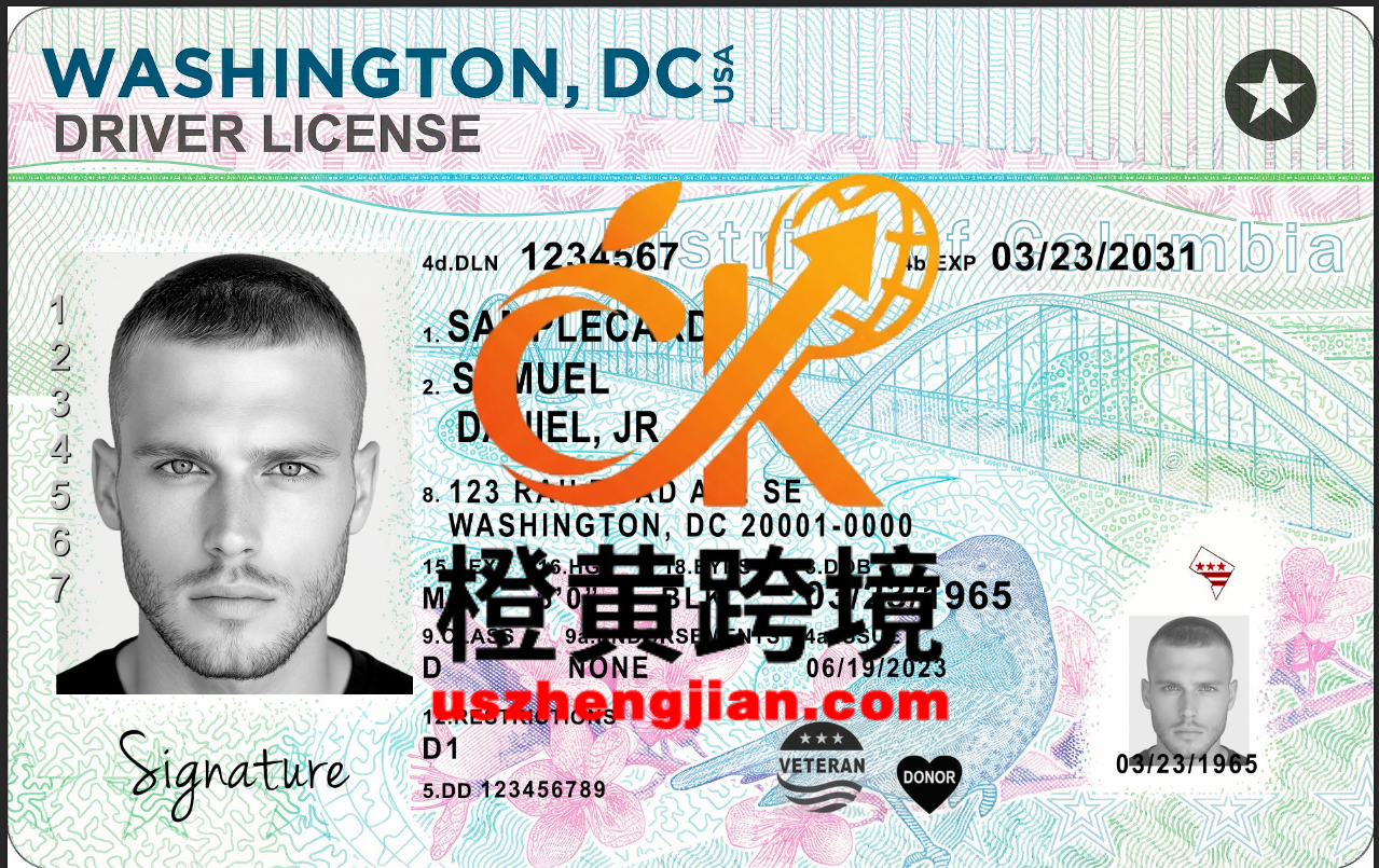 美国 华盛顿特区驾照PSD模板 New2026Washington, D.C. Driver’s License PSD Template New 2026-橙黄跨境，美国英国法国德国意大利各国证件驾照ID一个专业证件ID帮你KYC一路前行的网站