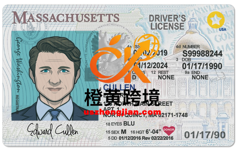 美国马萨诸塞州 Massachusetts DL新版驾驶证/驾照高质量PSD模板/PS/Photoshop Massachusetts DL new version driver’s license / license high quality PSD template / PS / Photoshop-橙黄跨境，美国英国法国德国意大利各国证件驾照ID一个专业证件ID帮你KYC一路前行的网站