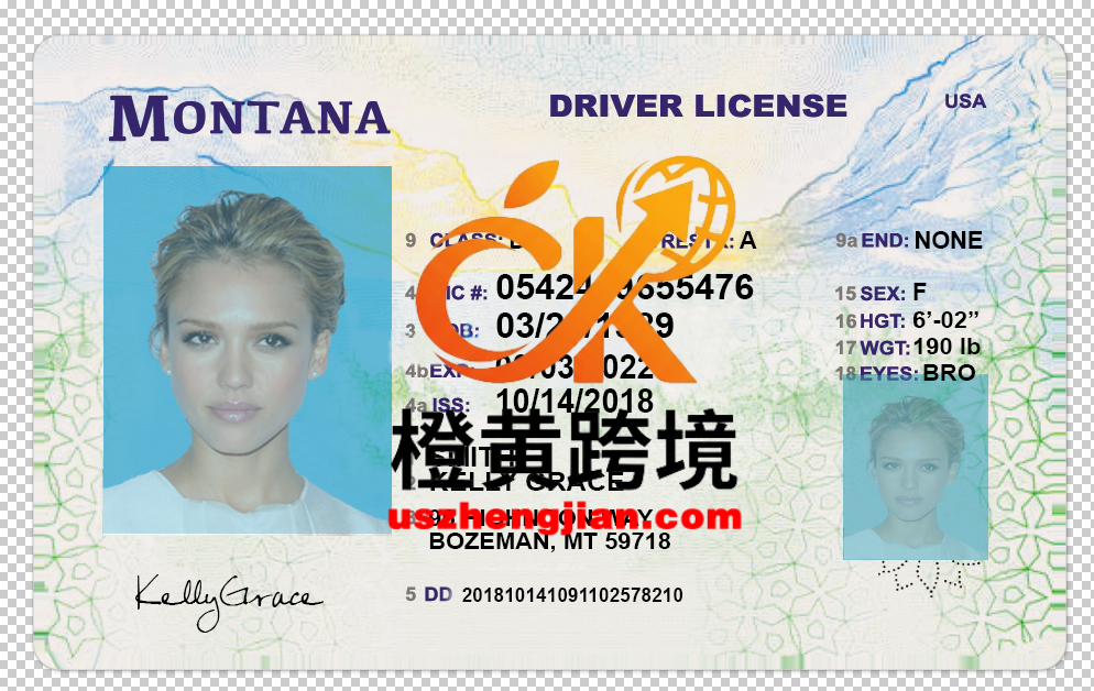 美国蒙大拿州Montana DL驾驶证/驾照高质量PSD/PS/Photoshop模板Montana DL driver’s license high quality PSD/PS/Photoshop template-橙黄跨境，美国英国法国德国意大利各国证件驾照ID一个专业证件ID帮你KYC一路前行的网站