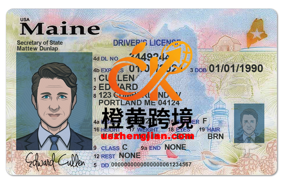 美国缅因州Maine DL新版驾驶证/驾照高质量PS/PSD模板Maine DL new driver’s license / license high quality PS / PSD template-橙黄跨境，美国英国法国德国意大利各国证件驾照ID一个专业证件ID帮你KYC一路前行的网站