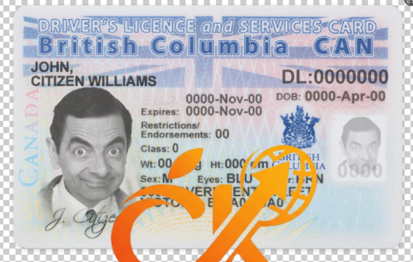 加拿大不列颠哥伦比亚省驾驶执照新PSD模板Canada British Columbia driving license New PSD template-橙黄跨境，美国英国法国德国意大利各国证件驾照ID一个专业证件ID帮你KYC一路前行的网站