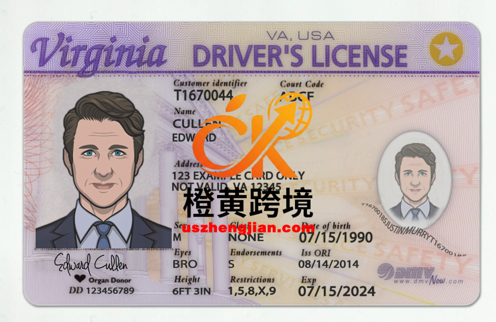 美国弗吉尼亚州Virginia DL驾驶证/驾照高质量PSD模板/Photoshop/PSVirginia DL driver’s license / license high quality PSD template / Photoshop / PS-橙黄跨境，美国英国法国德国意大利各国证件驾照ID一个专业证件ID帮你KYC一路前行的网站