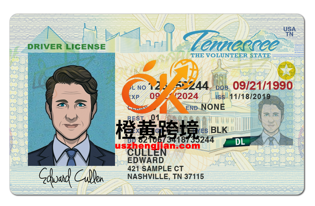 美国田纳西州Tennessee DL新版驾驶证/驾照高质量PSD模板/Photoshop/PSTennessee DL new driver’s license / driver’s license high quality PSD template / Photoshop / PS-橙黄跨境，美国英国法国德国意大利各国证件驾照ID一个专业证件ID帮你KYC一路前行的网站