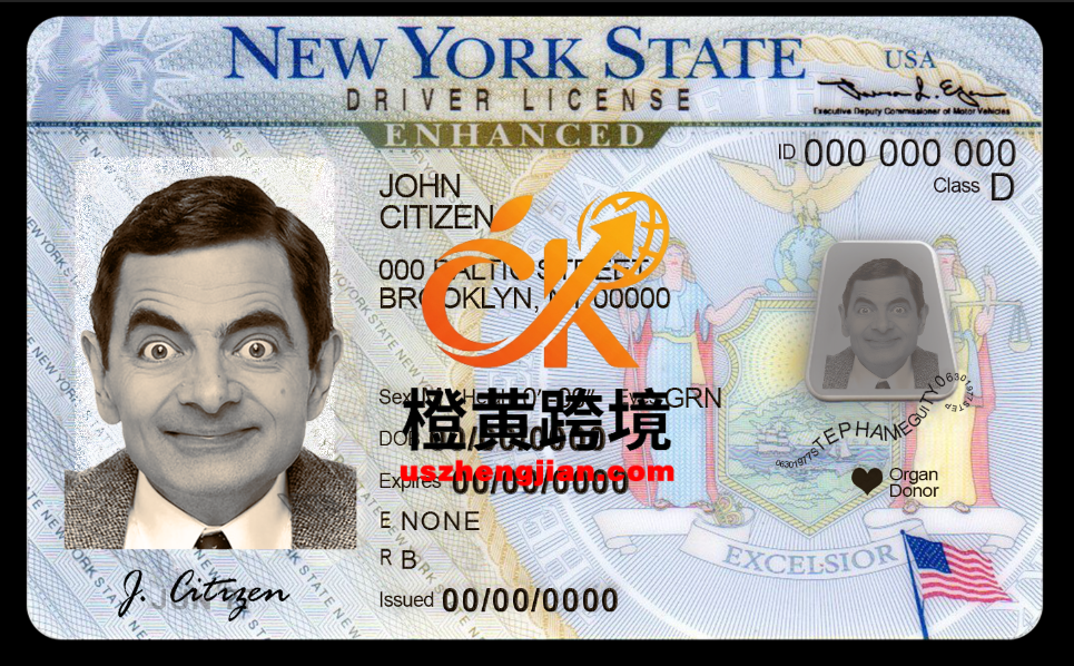 美国纽约州驾驶增强版 打印版 制卡机版本 许可证模板USA New York drivers permit template in PSD format PSD 格式的-橙黄跨境，美国英国法国德国意大利各国证件驾照ID一个专业证件ID帮你KYC一路前行的网站