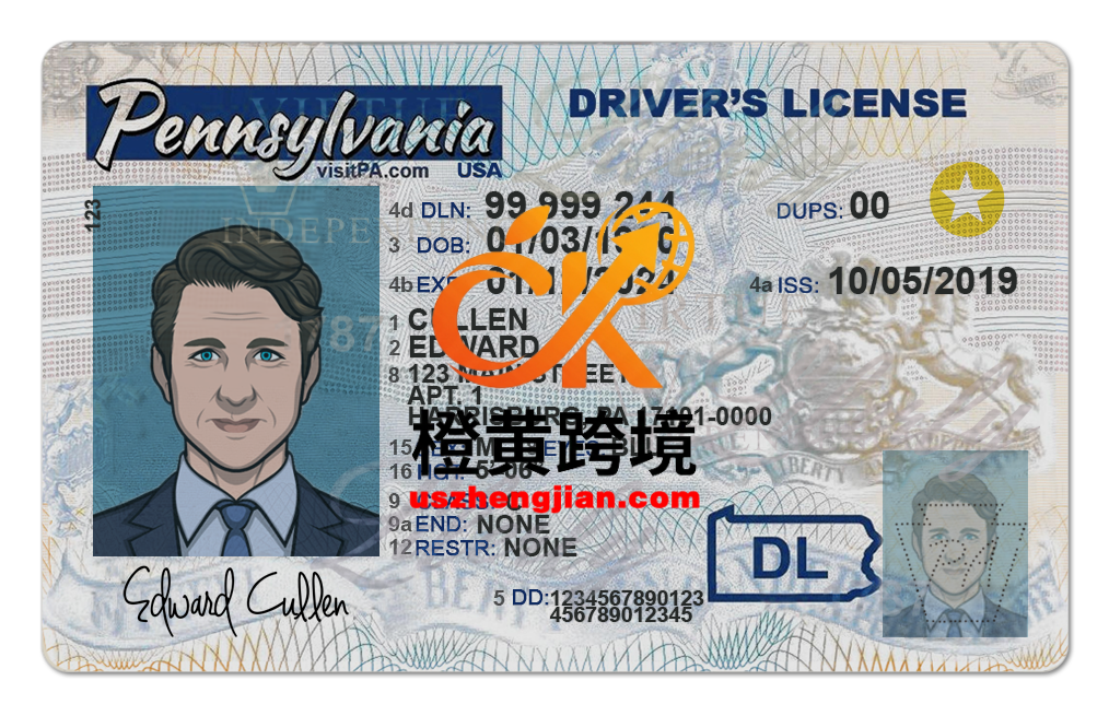 美国宾夕法尼亚驾照/驾驶证PS/PSD模板(NEW)US Pennsylvania Driver’s License PS/PSD Template (NEW)-橙黄跨境，美国英国法国德国意大利各国证件驾照ID一个专业证件ID帮你KYC一路前行的网站
