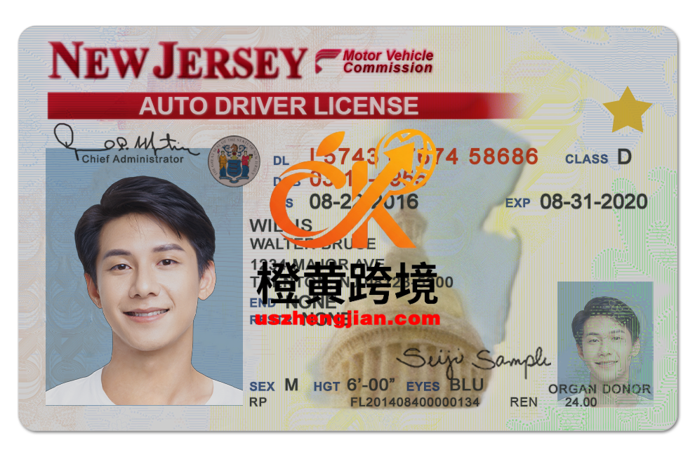 美国新泽西州驾照/驾驶证PS/PSD模板(V2)New Jersey Driver’s License PS/PSD Template (V2)-橙黄跨境，美国英国法国德国意大利各国证件驾照ID一个专业证件ID帮你KYC一路前行的网站